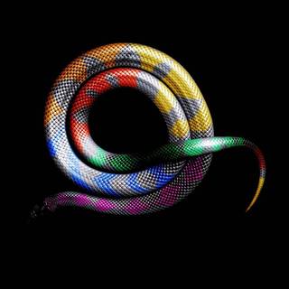 Rainbow snake