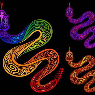 Rainbow snake