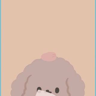 Cute Bear Wallpaper For Phone