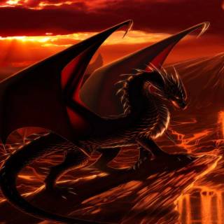 Fire dragon