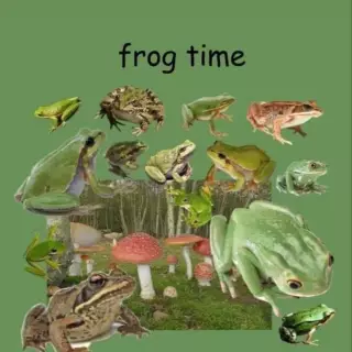 STOP FROGGY TIME X3