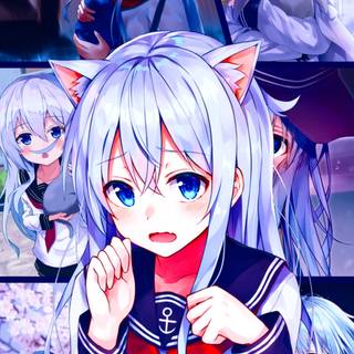 Arctic fox anime girl