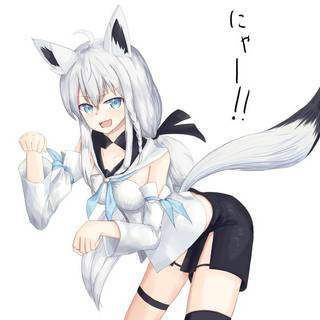Arctic fox anime girl