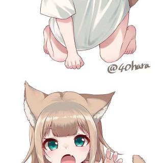 Osakana Neko wallpaper