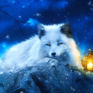 Winter Fantasy Fox
