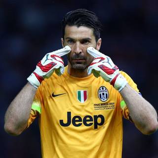 Buffon 4k wallpaper download