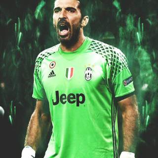 Buffon 4k wallpaper 