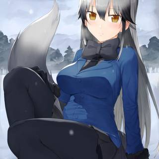 Silver fox anime girl