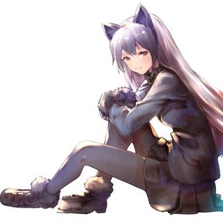  silver fox anime girl