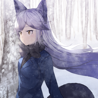 Silver fox anime girl