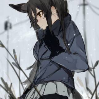 Silver fox anime girl