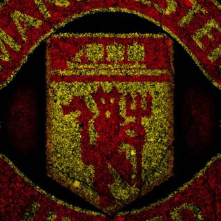 Manchester united 4k logo