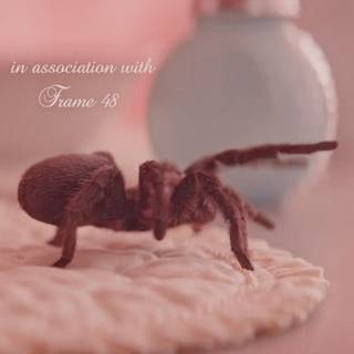 Melanie Martinez portals