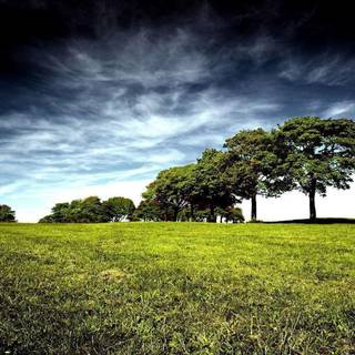 The back rooms my version