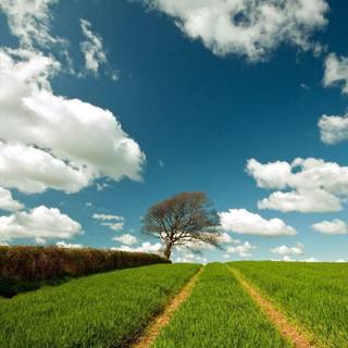 The back room is my version