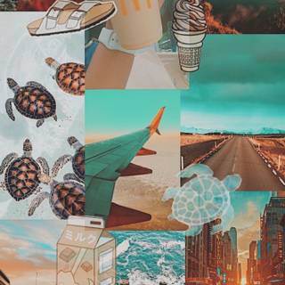 summer collage  (this is where I found it https://wallpapercave.com/u/grllikeapearl)