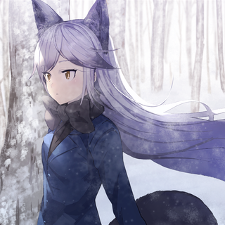 fox  foxy