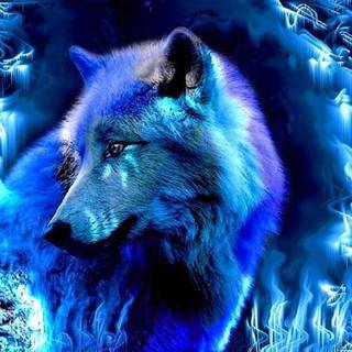 Neon wolf