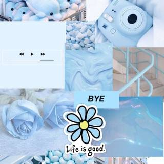 Aesthetic Pastel Blue Collage