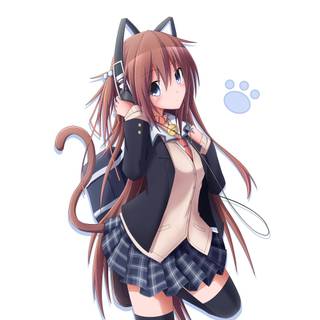 cat anime girl
