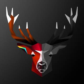 Red Deer