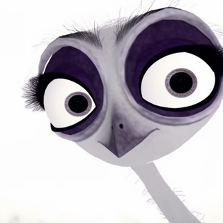 Bird Inspired Wallpaper