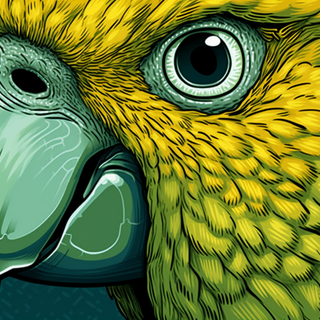 Bird Inspired Wallpaper