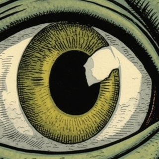 Bird Inspired Wallpaper