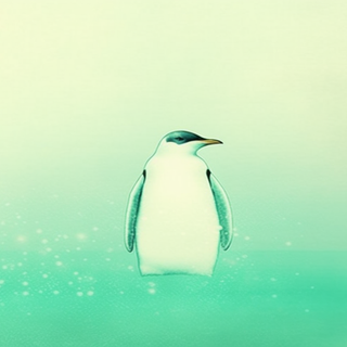 Bird Inspired Wallpaper