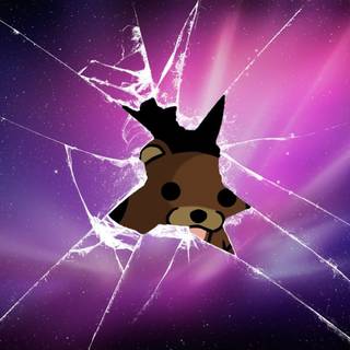 bear through broken glass