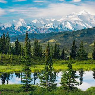 Alaskan mountains