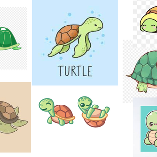 Turtle