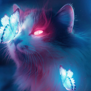 Cute cat with butterfly 4k wallpaper clean desk board 