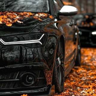 black car wallpaper 