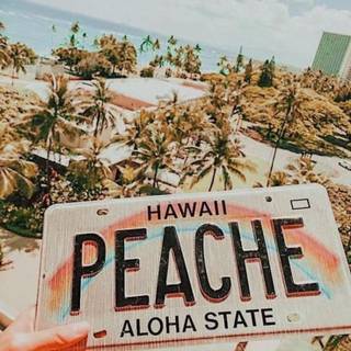 for sunset_sips ONLYYYYYYYYYYYYYYYYYYYYYYYYYYYYY i love you 