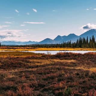 Alaskan version of the Great Plains