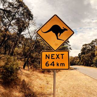 Kangaroo sign in Australia