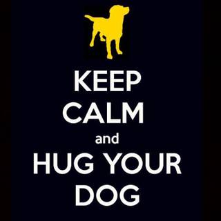Hug all dogs