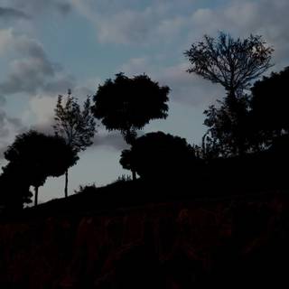 This is a photo I took