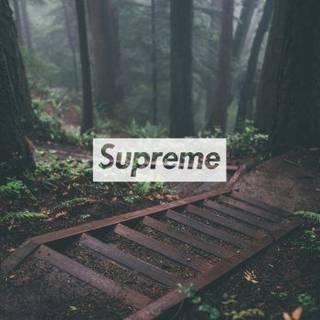 Supreme