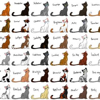 Cats of Thunderclan
