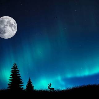 Northern Lights with the moon 4K wallpaper