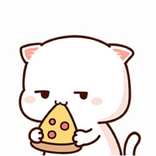 Cute Kawaii Cat Mochi