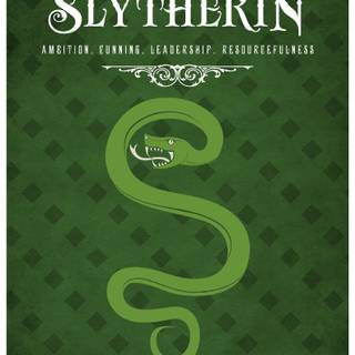 Slytherin,my house (i usually get bullied for dis)