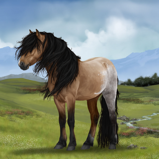 Wild Horse Valley (online game)