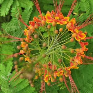 Beauty of nature!!!!