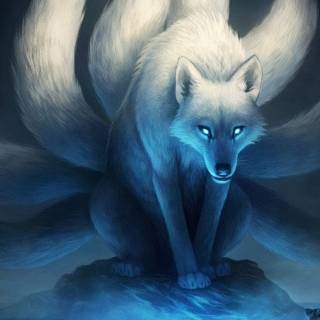 Arctic fox nine tail