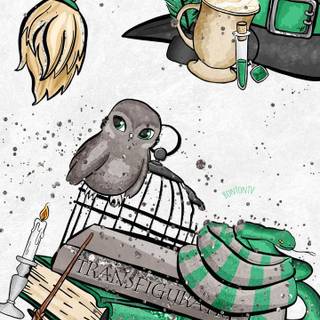 Slytherin stuff (couldn’t find Hufflepuff)
