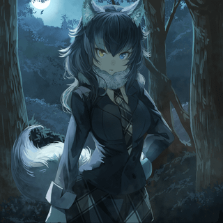 Gray wolf  Kemono friends wallpaper