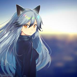 Silver fox kemono friends wallpaper